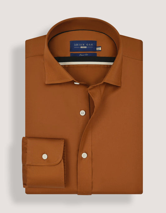 Light Brown Satin Dress Shirt