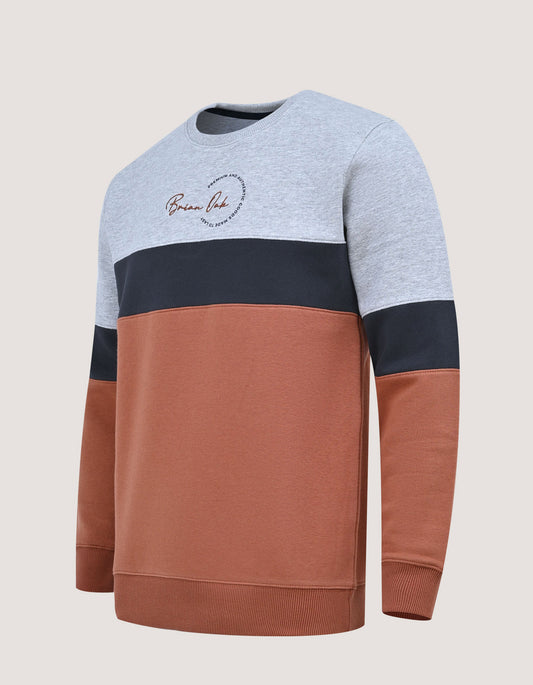 سويت شيرت ثلاثي الألوان مميز