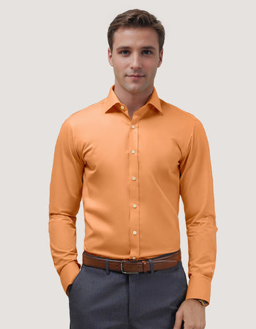 Easy Iron Rust Dress Shirt