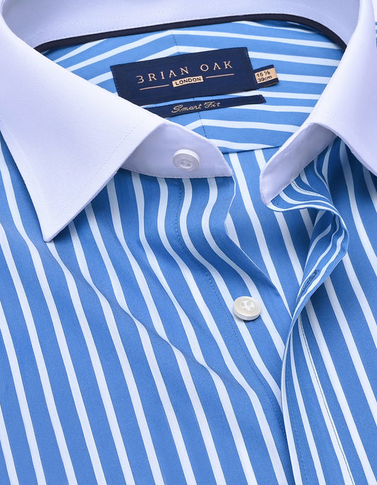 Blue and White Contrast Collar Striped Shirt