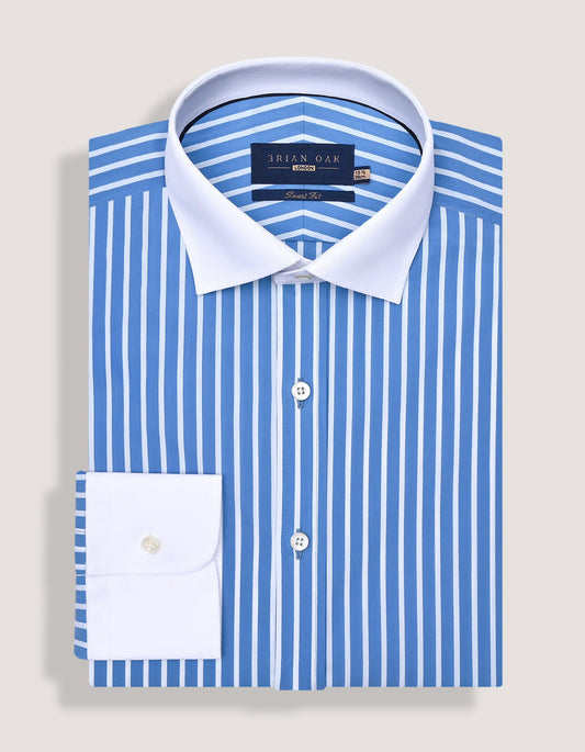 Blue and White Contrast Collar Striped Shirt