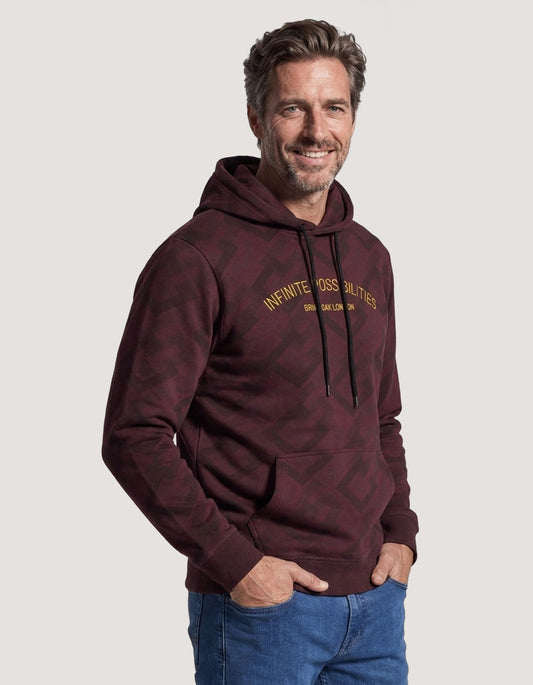 Sweat à capuche en polaire marron Infinite Possibilities