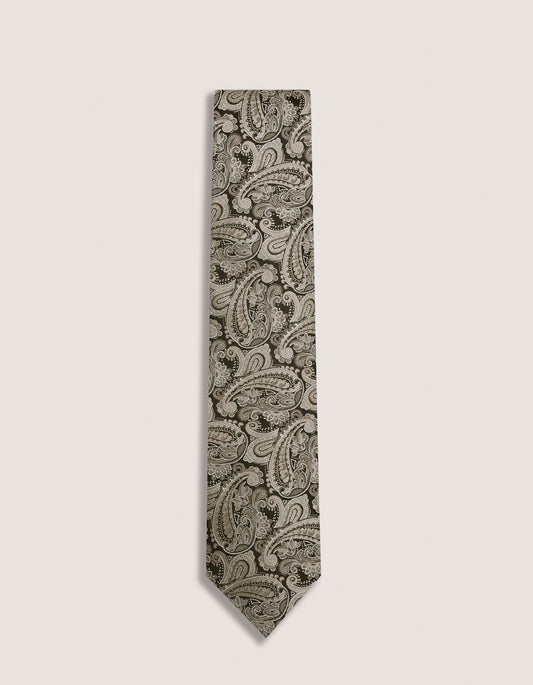 Bronze Paisley Silk Tie